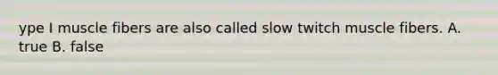 ype I muscle fibers are also called slow twitch muscle fibers. A. true B. false
