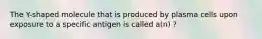 The Y-shaped molecule that is produced by plasma cells upon exposure to a specific antigen is called a(n) ?