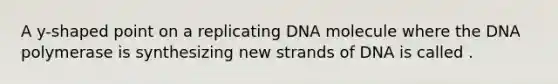 A y-shaped point on a replicating DNA molecule where the DNA polymerase is synthesizing new strands of DNA is called .