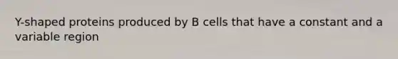 Y-shaped proteins produced by B cells that have a constant and a variable region