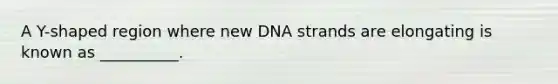 A Y-shaped region where new DNA strands are elongating is known as __________.