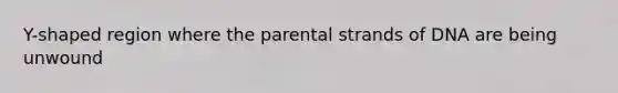 Y-shaped region where the parental strands of DNA are being unwound