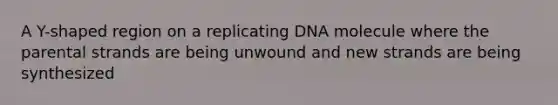 A Y-shaped region on a replicating DNA molecule where the parental strands are being unwound and new strands are being synthesized