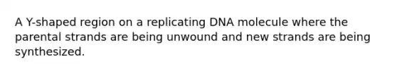 A Y-shaped region on a replicating DNA molecule where the parental strands are being unwound and new strands are being synthesized.