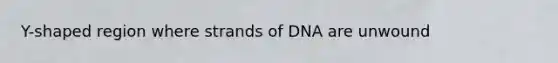 Y-shaped region where strands of DNA are unwound