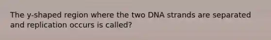 The y-shaped region where the two DNA strands are separated and replication occurs is called?