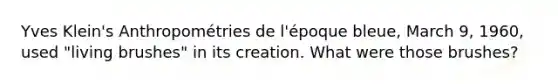 Yves Klein's Anthropométries de l'époque bleue, March 9, 1960, used "living brushes" in its creation. What were those brushes?