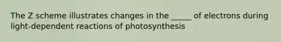 The Z scheme illustrates changes in the _____ of electrons during light-dependent reactions of photosynthesis