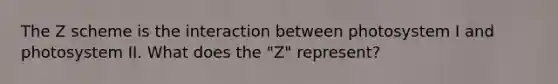 The Z scheme is the interaction between photosystem I and photosystem II. What does the "Z" represent?