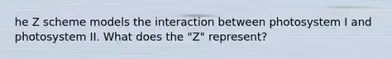 he Z scheme models the interaction between photosystem I and photosystem II. What does the "Z" represent?