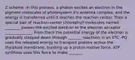 Z scheme -In this process, a photon excites an electron in the pigment molecules of photosystem II's antenna complex, and the energy is transferred until it reaches the reaction center. Then a special pair of reaction-center chlorophyll molecules named ________ passes the excited electron to the electron acceptor ______________. From there the potential energy of the electron is gradually stepped down through _______ reactions in an ETC -PQ uses the released energy to transport protons across the thylakoid membrane, building up a proton-motive force. ATP synthase uses this force to make _______