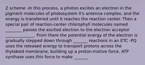 Z scheme -In this process, a photon excites an electron in the pigment molecules of photosystem II's antenna complex, and the energy is transferred until it reaches the reaction center. Then a special pair of reaction-center chlorophyll molecules named ________ passes the excited electron to the electron acceptor ______________. From there the potential energy of the electron is gradually stepped down through _______ reactions in an ETC -PQ uses the released energy to transport protons across the thylakoid membrane, building up a proton-motive force. ATP synthase uses this force to make _______