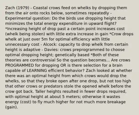 Zach (1979) - Coastal crows feed on whelks by dropping them from the air onto rocks below, sometimes repeatedly - Experimental question: Do the birds use dropping height that minimizes the total energy expenditure in upward flight? *Increasing height of drop past a certain point increases cost (whelk being stolen) with little extra increase in gain *Crow drops whelk at just over 5m for optimal efficiency with little unnecessary cost - Alcock: capacity to drop whelk from certain height is adaptive - Davies: crows preprogrammed to choose optimal dropping height; genetically based *Both of these theories are controversial So the question becomes... Are crows PROGRAMMED for dropping OR is there selection for a brain capable of LEARNING efficient behavior? Zach looked at whether there was an optimal height from which crows would drop the whelks, so that they broke open after one drop, but not too high that other crows or predators stole the opened whelk before the crow got back. Taller heights resulted in fewer drops required, with optimal height at about 5 meters; otherwise it wastes energy (cost) to fly much higher for not much more breakage (gain).