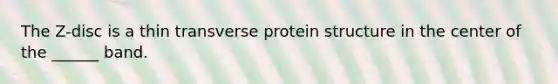 The Z-disc is a thin transverse protein structure in the center of the ______ band.