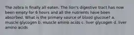 The zebra is finally all eaten. The lion's digestive tract has now been empty for 6 hours and all the nutrients have been absorbed. What is the primary source of blood glucose? a. muscle glycogen b. muscle amino acids c. liver glycogen d. liver amino acids