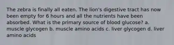 The zebra is finally all eaten. The lion's digestive tract has now been empty for 6 hours and all the nutrients have been absorbed. What is the primary source of blood glucose? a. muscle glycogen b. muscle amino acids c. liver glycogen d. liver amino acids