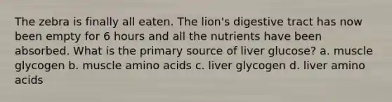 The zebra is finally all eaten. The lion's digestive tract has now been empty for 6 hours and all the nutrients have been absorbed. What is the primary source of liver glucose? a. muscle glycogen b. muscle amino acids c. liver glycogen d. liver amino acids