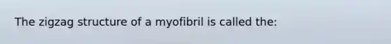 The zigzag structure of a myofibril is called the: