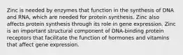 Zinc is needed by enzymes that function in the synthesis of DNA and RNA, which are needed for protein synthesis. Zinc also affects protein synthesis through its role in gene expression. Zinc is an important structural component of DNA-binding protein receptors that facilitate the function of hormones and vitamins that affect gene expression.