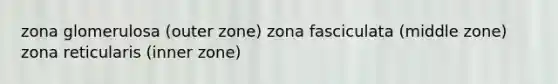 zona glomerulosa (outer zone) zona fasciculata (middle zone) zona reticularis (inner zone)