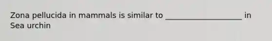 Zona pellucida in mammals is similar to ____________________ in Sea urchin