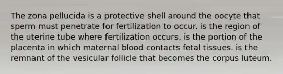 The zona pellucida is a protective shell around the oocyte that sperm must penetrate for fertilization to occur. is the region of the uterine tube where fertilization occurs. is the portion of the placenta in which maternal blood contacts fetal tissues. is the remnant of the vesicular follicle that becomes the corpus luteum.