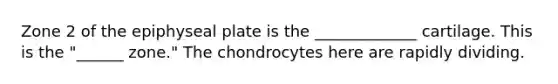 Zone 2 of the epiphyseal plate is the _____________ cartilage. This is the "______ zone." The chondrocytes here are rapidly dividing.