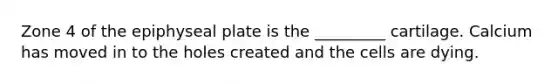 Zone 4 of the epiphyseal plate is the _________ cartilage. Calcium has moved in to the holes created and the cells are dying.