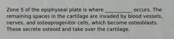 Zone 5 of the epiphyseal plate is where ___________ occurs. The remaining spaces in the cartilage are invaded by blood vessels, nerves, and osteoprogenitor cells, which become osteoblasts. These secrete osteoid and take over the cartilage.