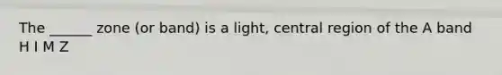 The ______ zone (or band) is a light, central region of the A band H I M Z