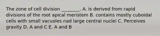 The zone of cell division ________. A. is derived from rapid divisions of the root apical meristem B. contains mostly cuboidal cells with small vacuoles nad large central nuclei C. Perceives gravity D. A and C E. A and B