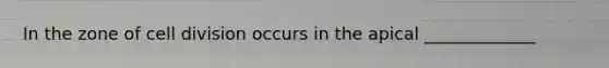 In the zone of cell division occurs in the apical _____________