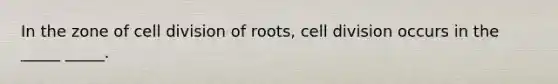 In the zone of cell division of roots, cell division occurs in the _____ _____.