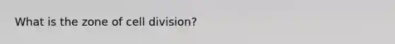 What is the zone of cell division?