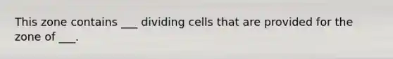 This zone contains ___ dividing cells that are provided for the zone of ___.