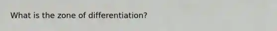 What is the zone of differentiation?