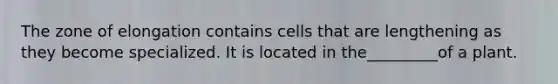 The zone of elongation contains cells that are lengthening as they become specialized. It is located in the_________of a plant.