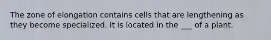 The zone of elongation contains cells that are lengthening as they become specialized. It is located in the ___ of a plant.