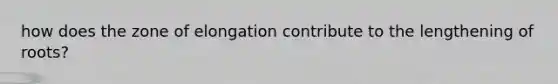 how does the zone of elongation contribute to the lengthening of roots?