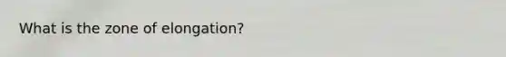 What is the zone of elongation?