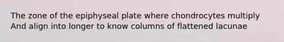 The zone of the epiphyseal plate where chondrocytes multiply And align into longer to know columns of flattened lacunae