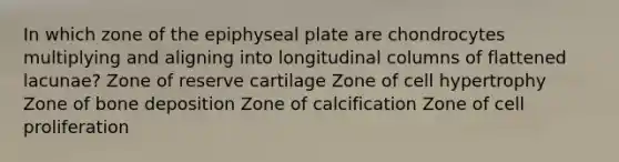 In which zone of the epiphyseal plate are chondrocytes multiplying and aligning into longitudinal columns of flattened lacunae? Zone of reserve cartilage Zone of cell hypertrophy Zone of bone deposition Zone of calcification Zone of cell proliferation