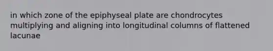 in which zone of the epiphyseal plate are chondrocytes multiplying and aligning into longitudinal columns of flattened lacunae