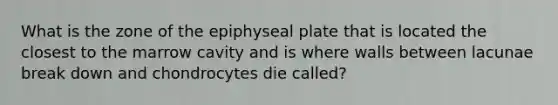 What is the zone of the epiphyseal plate that is located the closest to the marrow cavity and is where walls between lacunae break down and chondrocytes die called?