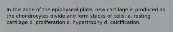 In this zone of the epiphyseal plate, new cartilage is produced as the chondrocytes divide and form stacks of cells: a. resting cartilage b. proliferation c. hypertrophy d. calcification