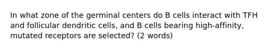 In what zone of the germinal centers do B cells interact with TFH and follicular dendritic cells, and B cells bearing high-affinity, mutated receptors are selected? (2 words)