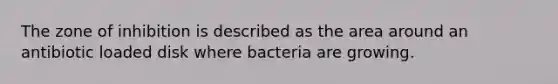 The zone of inhibition is described as the area around an antibiotic loaded disk where bacteria are growing.