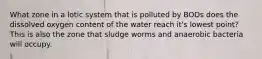 What zone in a lotic system that is polluted by BODs does the dissolved oxygen content of the water reach it's lowest point? This is also the zone that sludge worms and anaerobic bacteria will occupy.