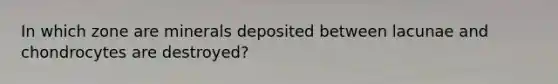 In which zone are minerals deposited between lacunae and chondrocytes are destroyed?