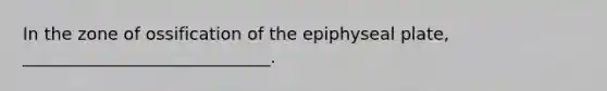 In the zone of ossification of the epiphyseal plate, _____________________________.